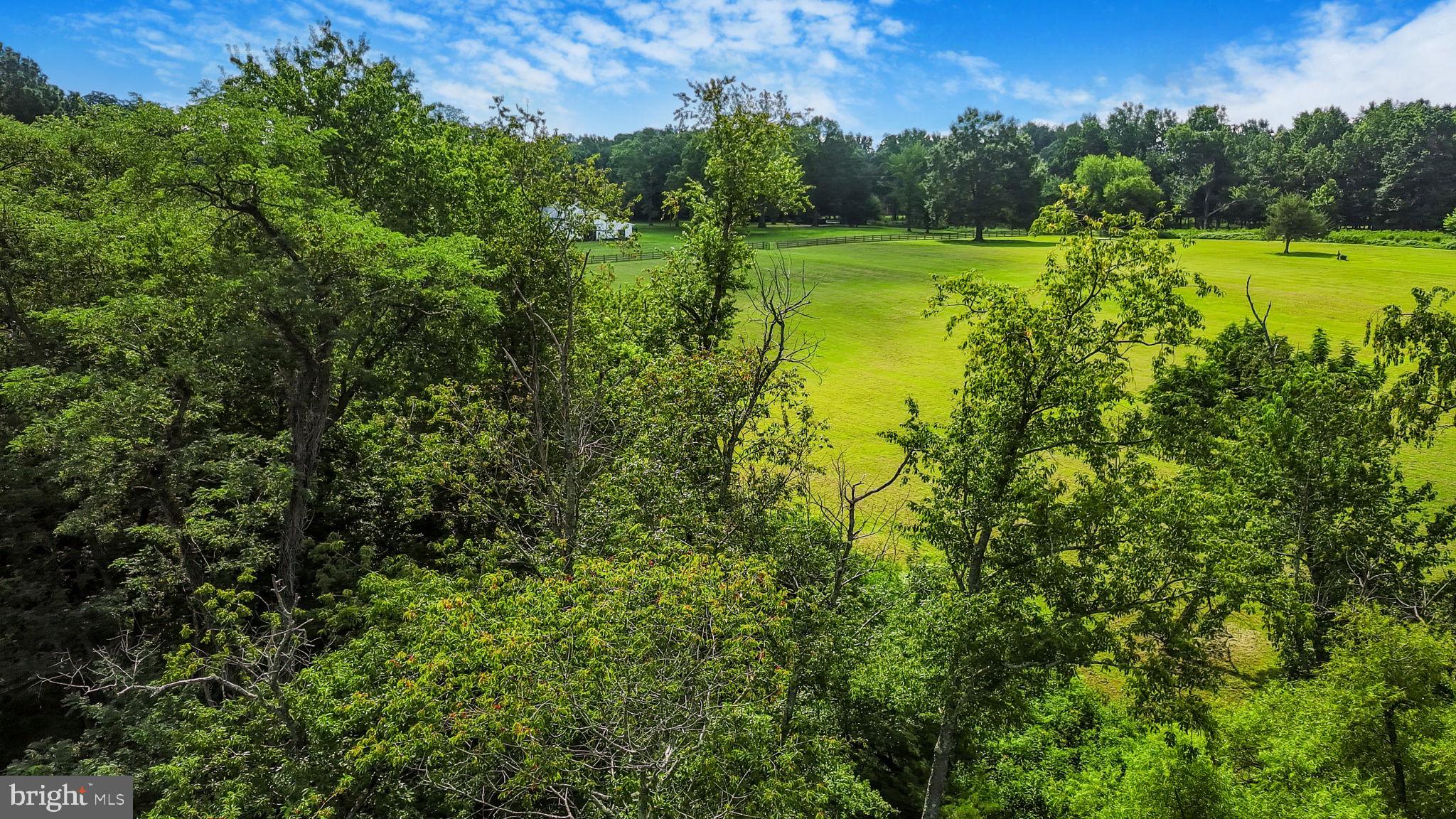 11305 Riverview Road Fort Washington, MD 20744 - Photo 44 of 59 a view of a golf course with a lake
