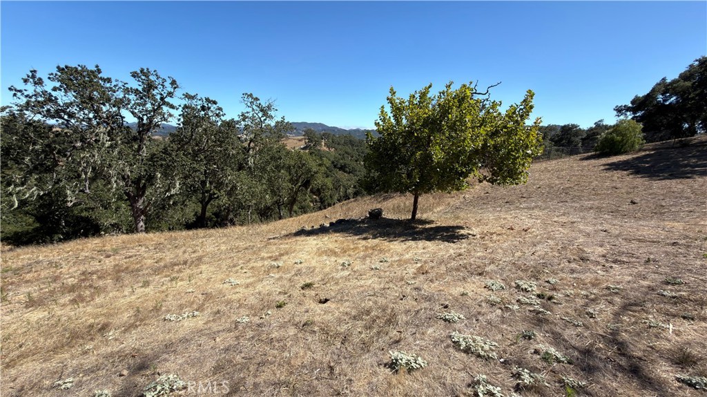 9205 Corona Road Atascadero, CA 93422 - Photo 23 of 31