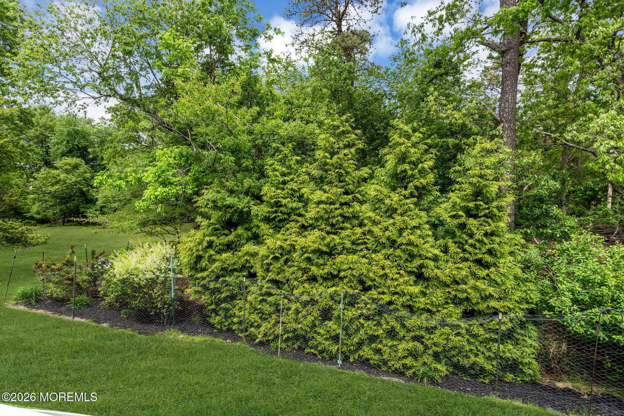14 Jennifer Drive Howell, NJ 07731 - Photo 53 of 67 58-web-or-mls-DSC00916-1