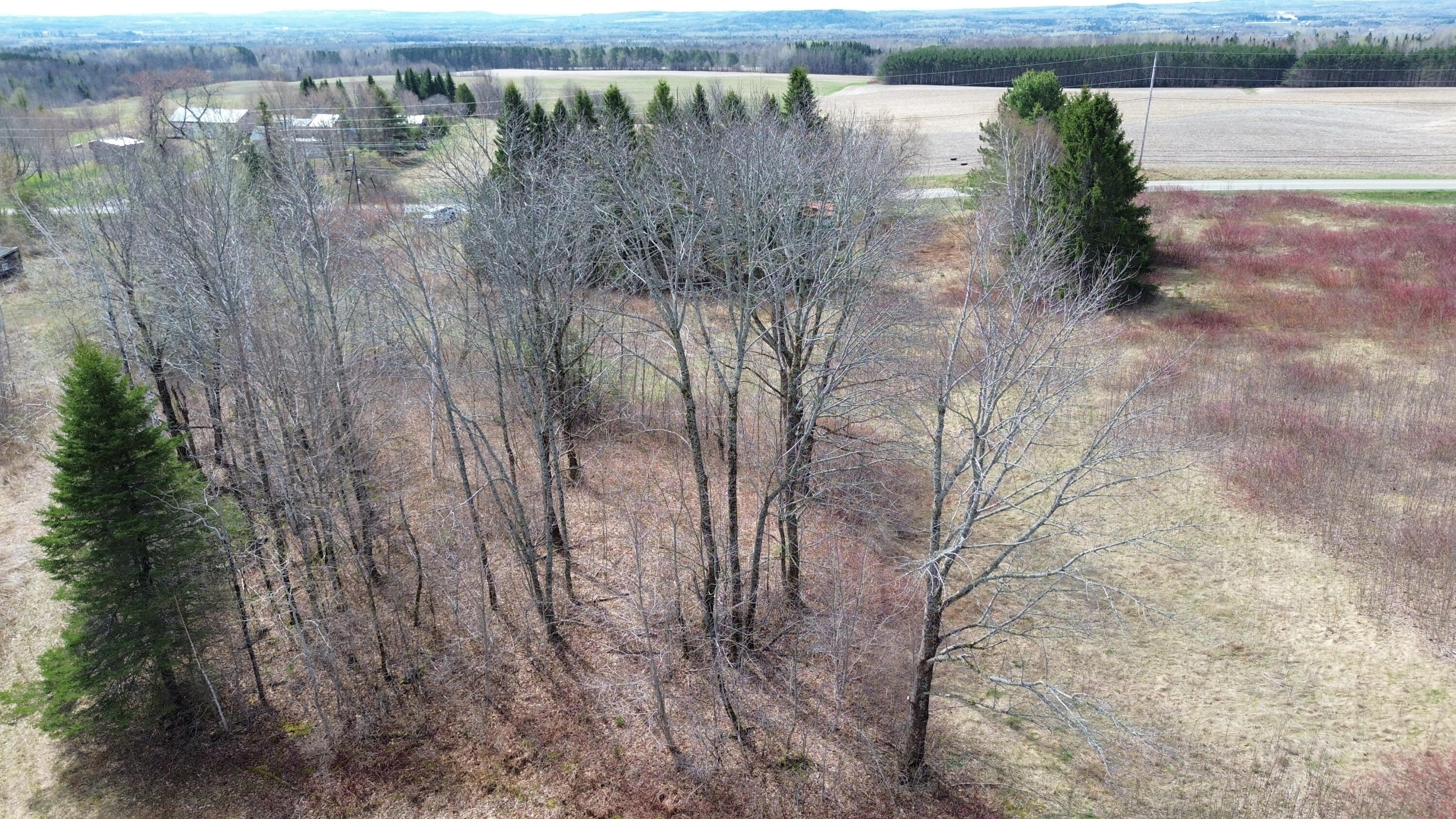 1063 Ludlow Road Ludlow, ME 04730 - Photo 7 of 36 DJI_0765