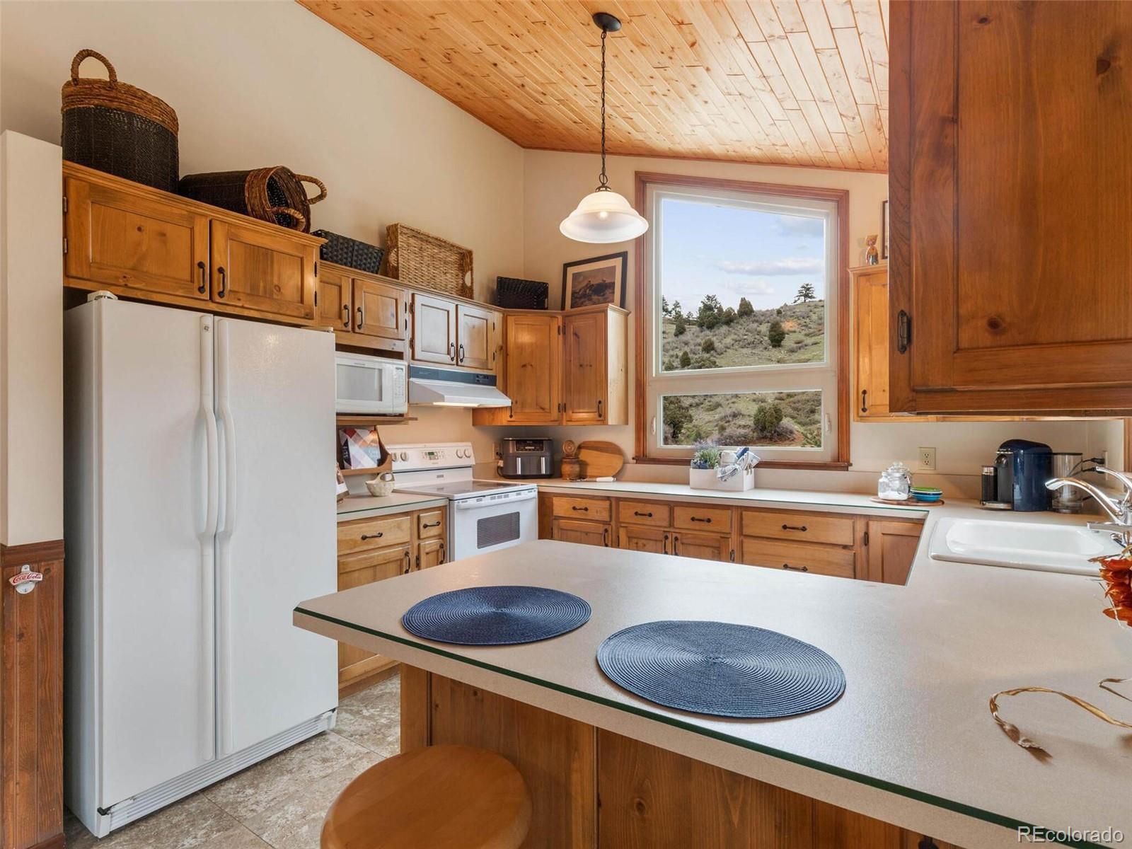 4084 Bear Road Golden, CO 80403 - Photo 7 of 40