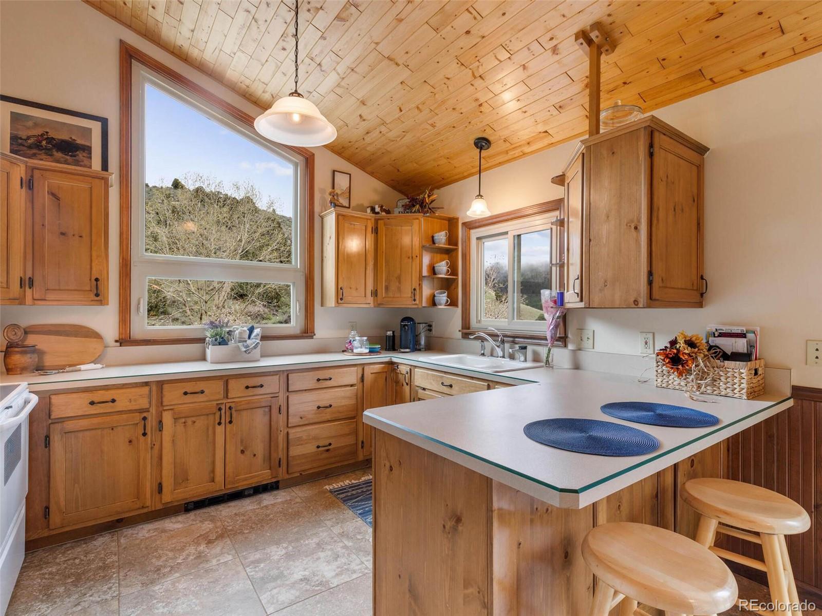 4084 Bear Road Golden, CO 80403 - Photo 8 of 40