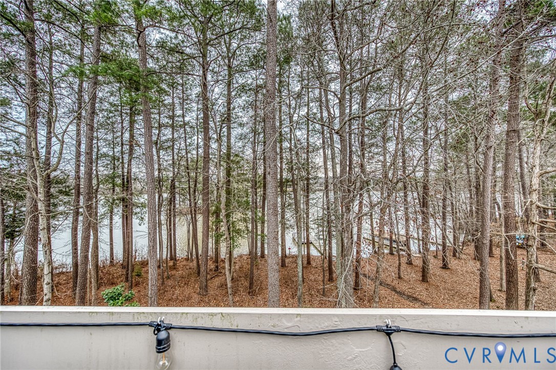 112 Water Pointe Court Midlothian, VA 23112 - Photo 25 of 32 a view of wooden floor with a yard