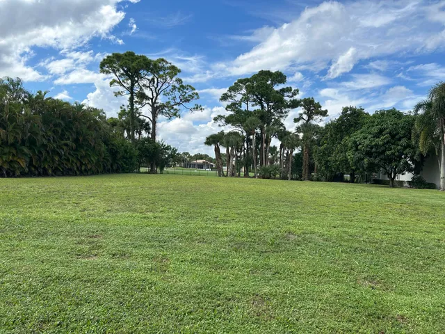 a view of a field with a tree in the background