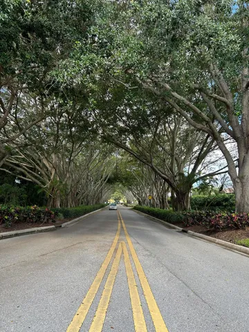 a view of backyard with a car parked on the road