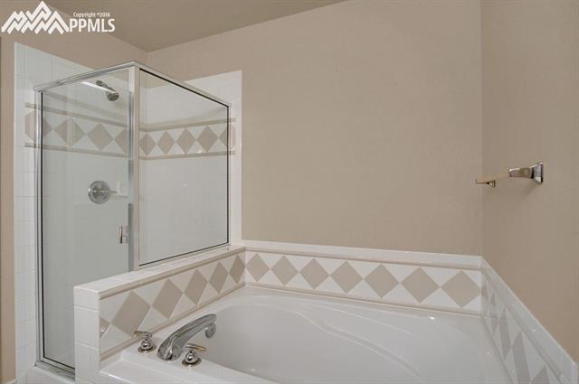 9162 Rockingham Drive Peyton, CO 80831 - Photo 19 of 35 Soaking tub and free standing shower in master bath.