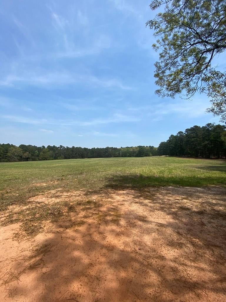 0 Banks Mill Road Southeast North Augusta, SC 29860 - Photo 6 of 11