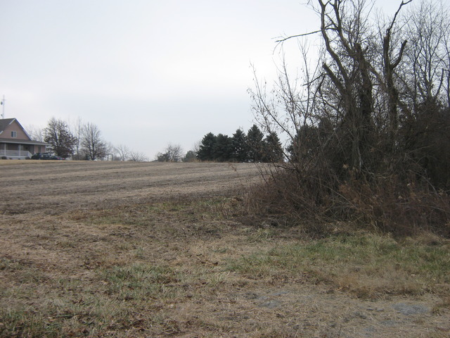 Lot 2 West Steger Road Monee, IL 60449 - Photo 2 of 9