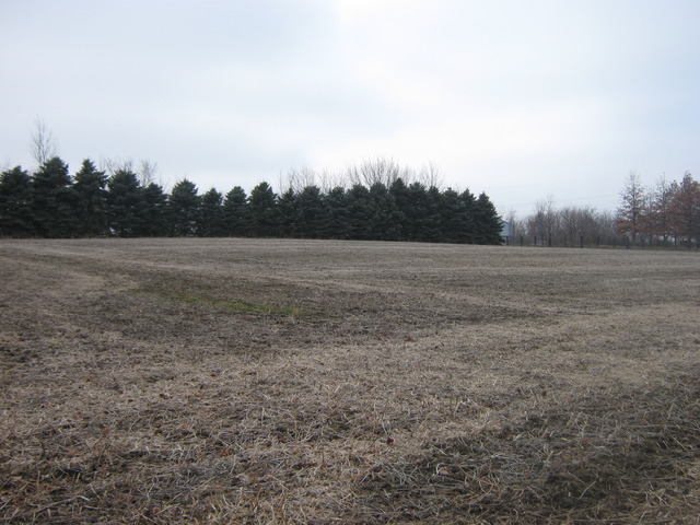 Lot 2 West Steger Road Monee, IL 60449 - Photo 3 of 9