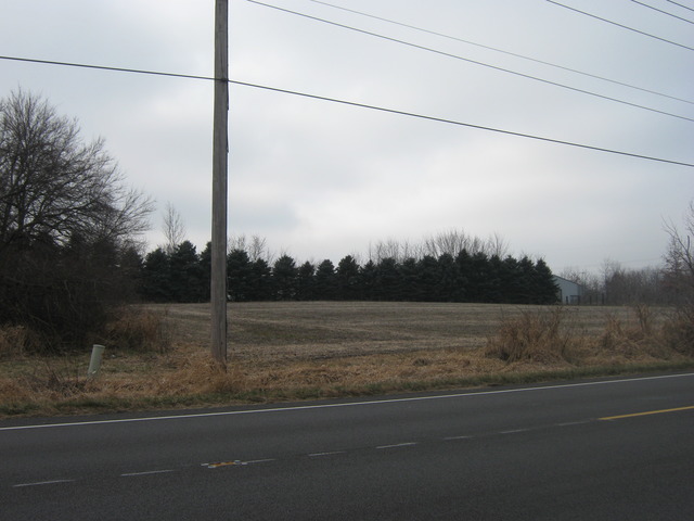 Lot 2 West Steger Road Monee, IL 60449 - Photo 4 of 9