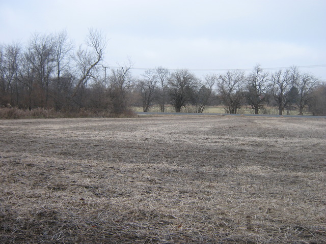 Lot 2 West Steger Road Monee, IL 60449 - Photo 5 of 9