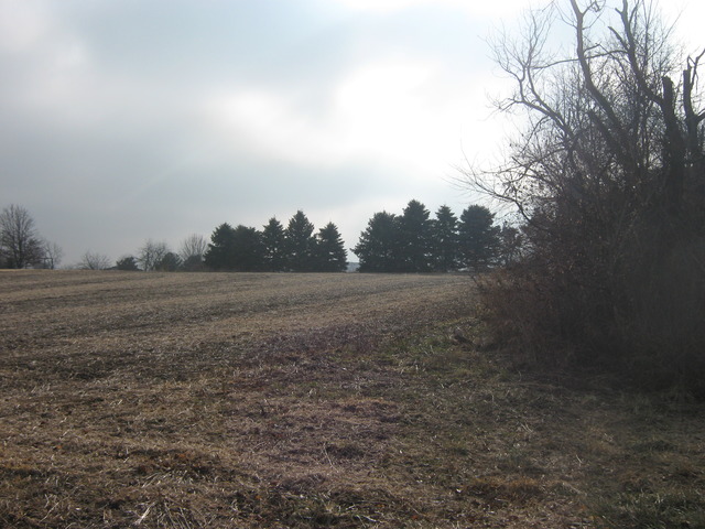 Lot 2 West Steger Road Monee, IL 60449 - Photo 6 of 9