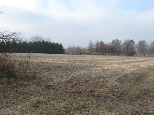 Lot 2 West Steger Road Monee, IL 60449 - Photo 7 of 9