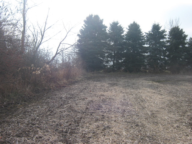 Lot 2 West Steger Road Monee, IL 60449 - Photo 8 of 9