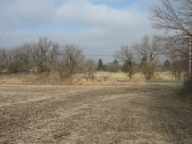 Lot 2 West Steger Road Monee, IL 60449 - Photo 9 of 9