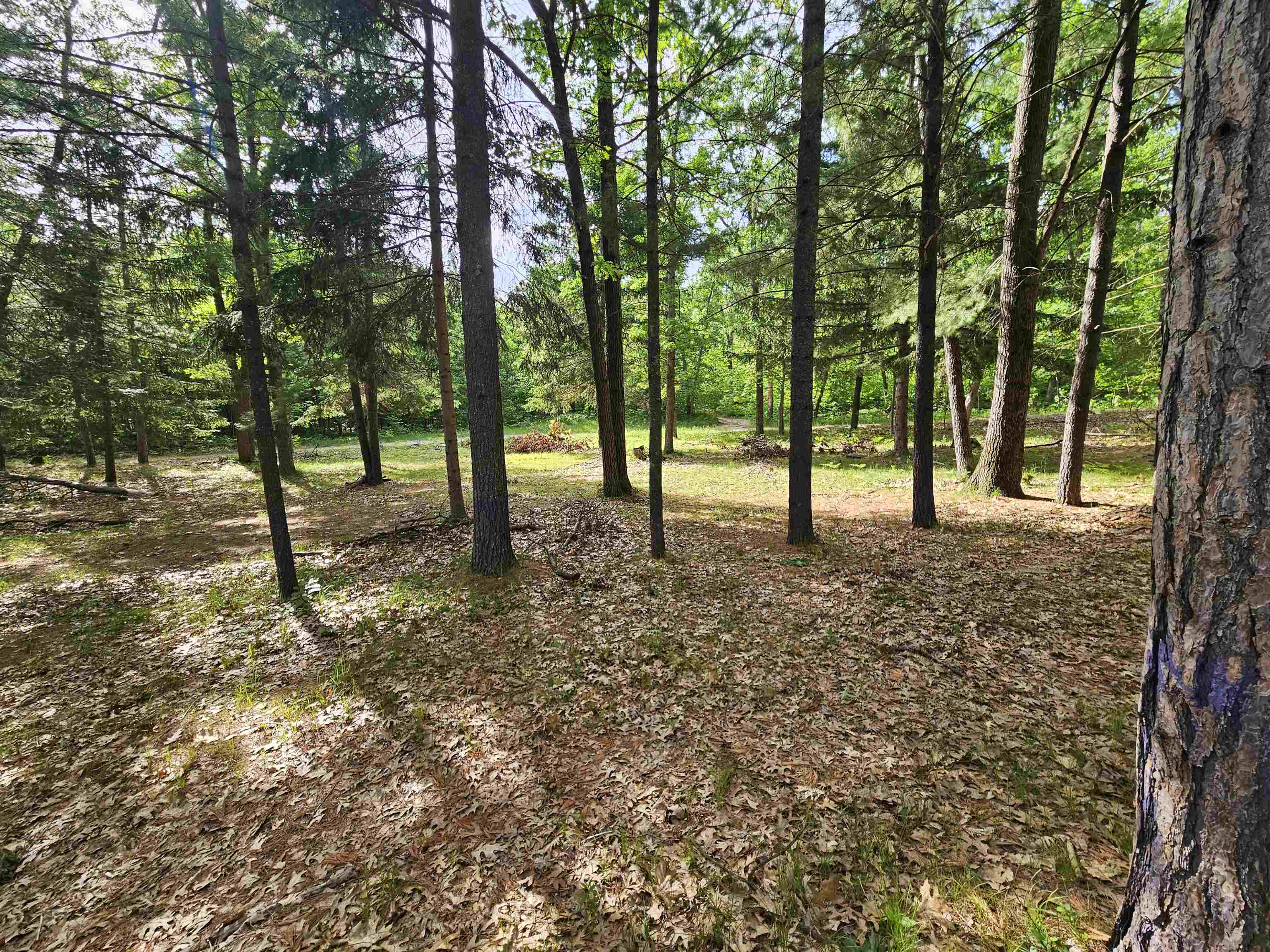 319 Burns Road Harrison, MI 48625 - Photo 20 of 23