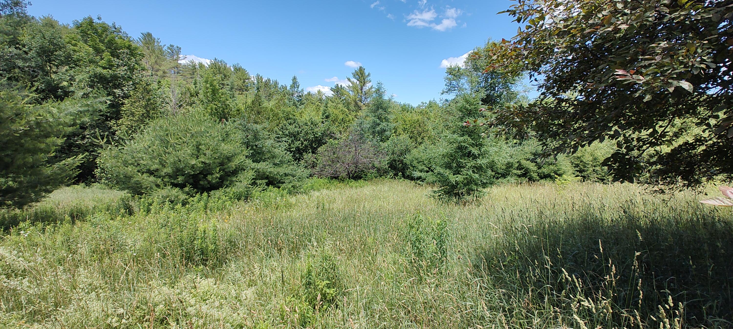 315 Parkman Road Garland, ME 04939 - Photo 8 of 22 IMG_20240628_124439312