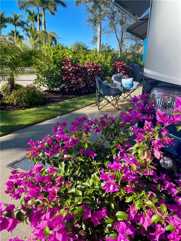 13627 Snook Circle Naples, FL 34114 - Photo 8 of 10 a view of a flower arrangement in a garden