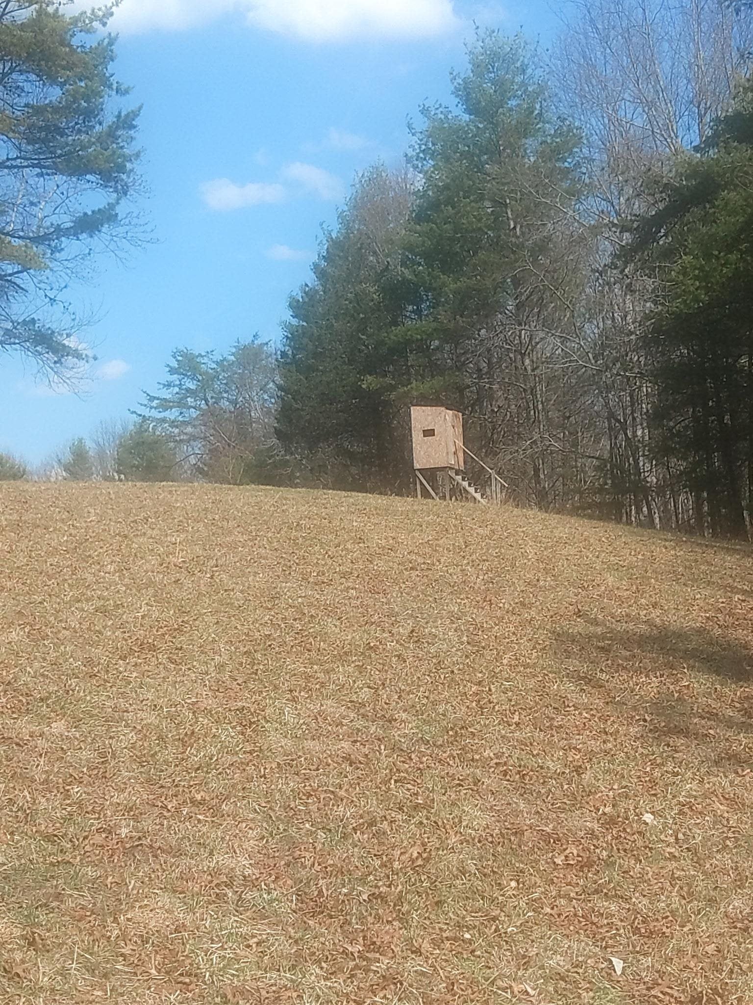 Tbd Dobbins Hollow Road Riner, VA 24149 - Photo 2 of 5 Gallery Image 2