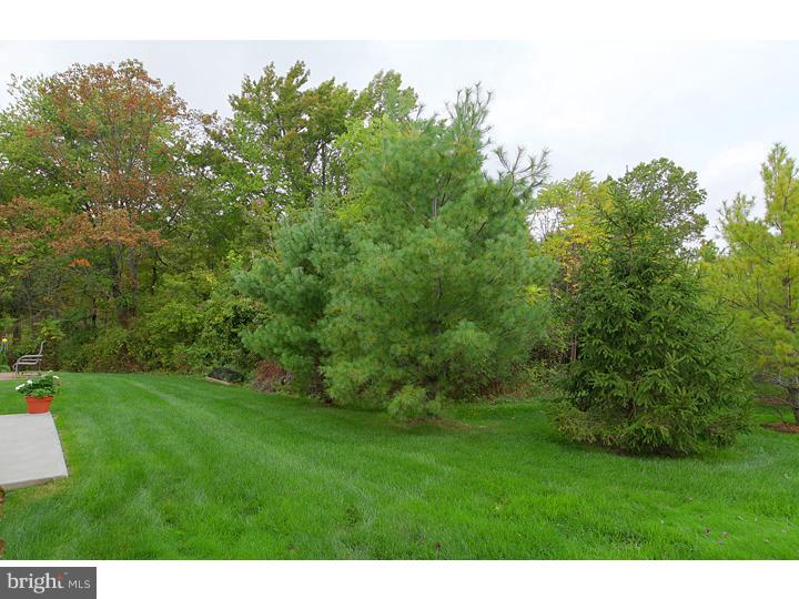 149 Somerfield Road Woolwich Township, NJ 08085 - Photo 3 of 18 View in Back