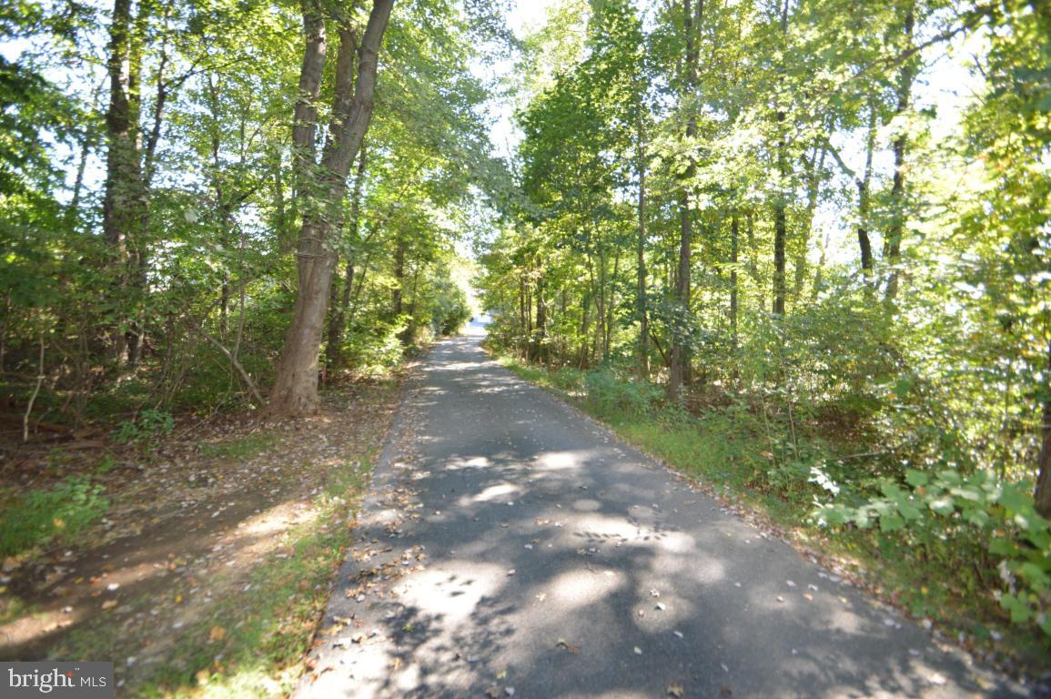 1048 Rife Run Road Manheim, PA 17545 - Photo 2 of 22