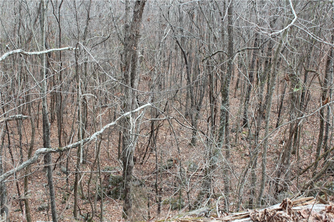 0 Old Brewer Road South Edgemont, AR 72044 - Photo 22 of 60 View of nature