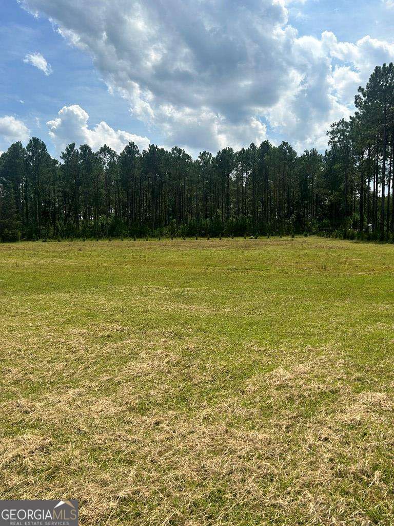 0 Old Ocilla Road Tifton, GA 31794 - Photo 2 of 6 a view of an ocean view