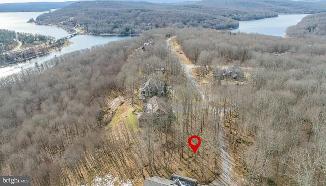 a view of path along with trees