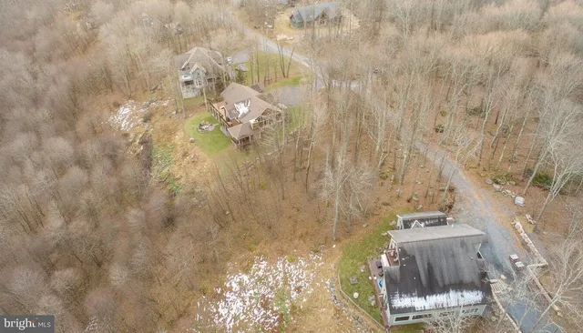 a view of a lake in middle of forest