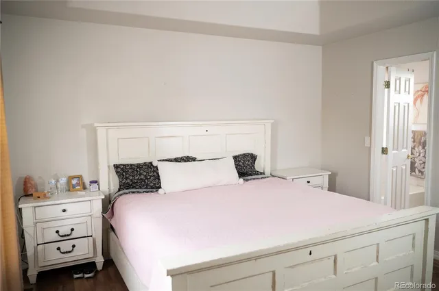 a bedroom with a bed and a closet