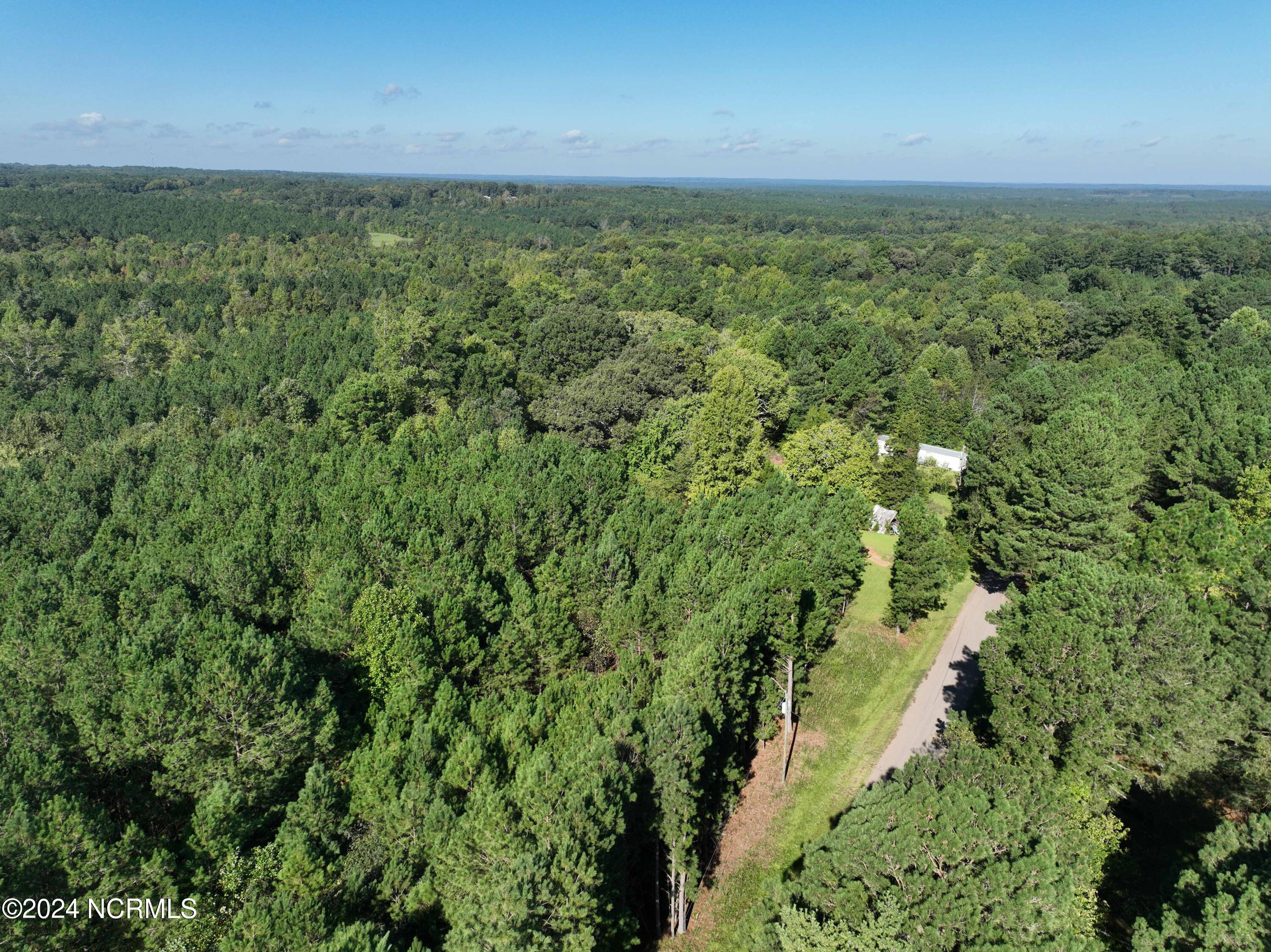 185 Deese Road Carthage, NC 28327 - Photo 10 of 12 DJI_0411