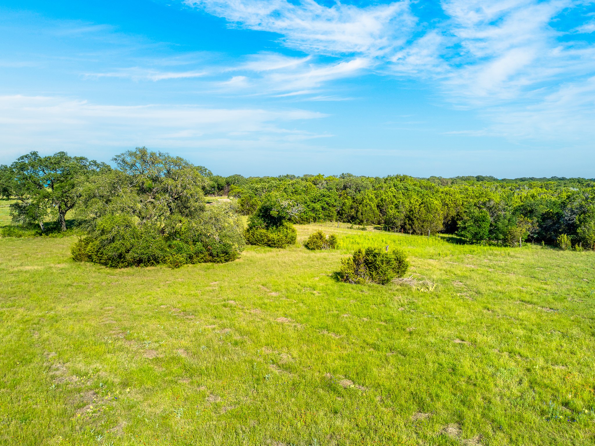 32 Feild Ranch Road Burnet, TX 78611 - Photo 20 of 40 Green pastures and mature trees stretch beneath a vast, open sky, offering a serene, rural setting.
