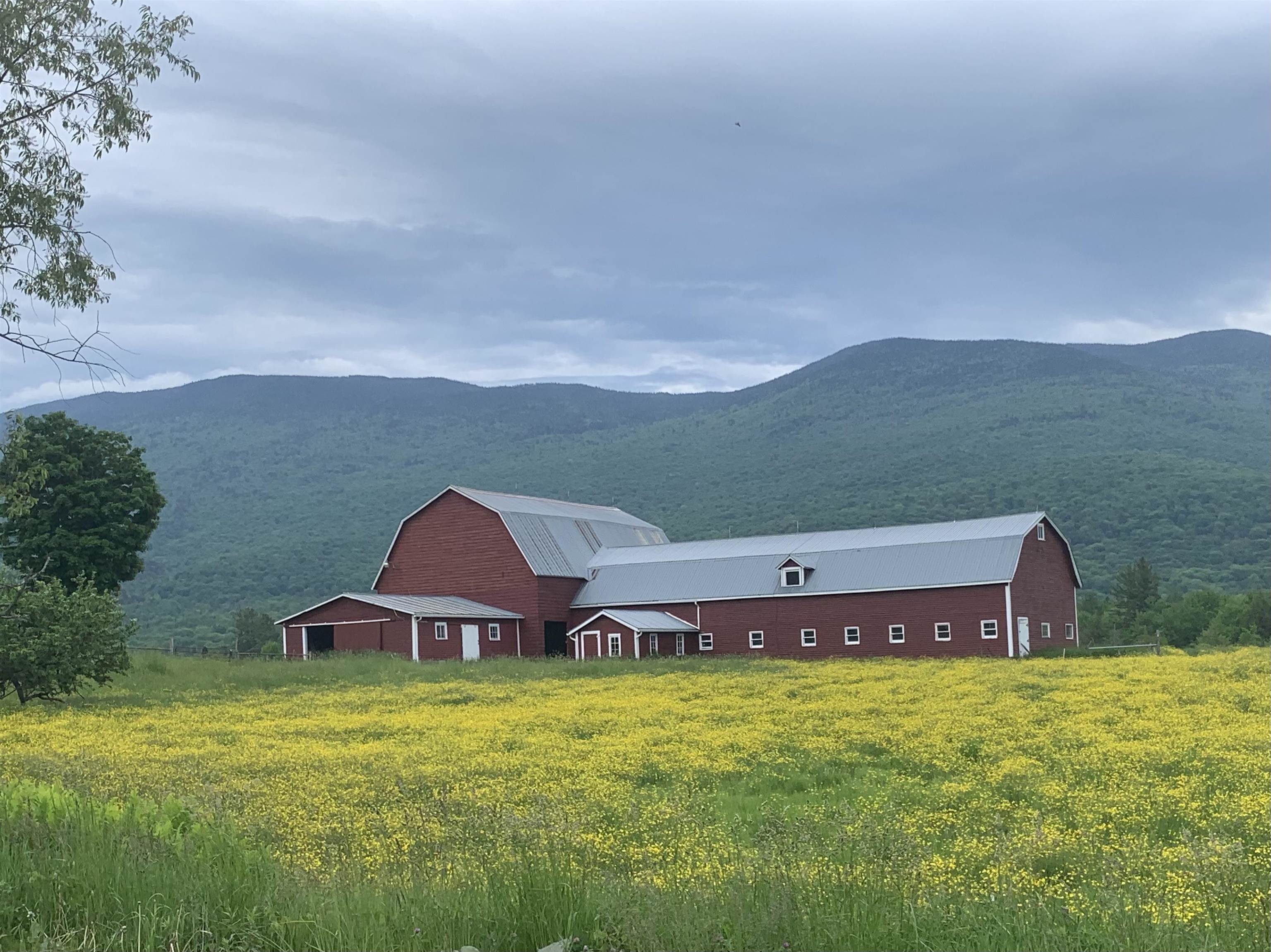 846 Weeks Hill Road Stowe, VT 05672 - Photo 46 of 48