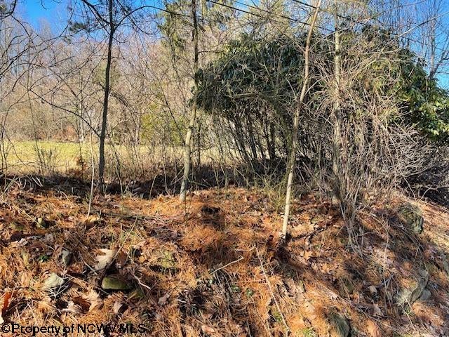 Tbd Herring Road Kingwood, WV 26537 - Photo 4 of 9 Gallery Image 4