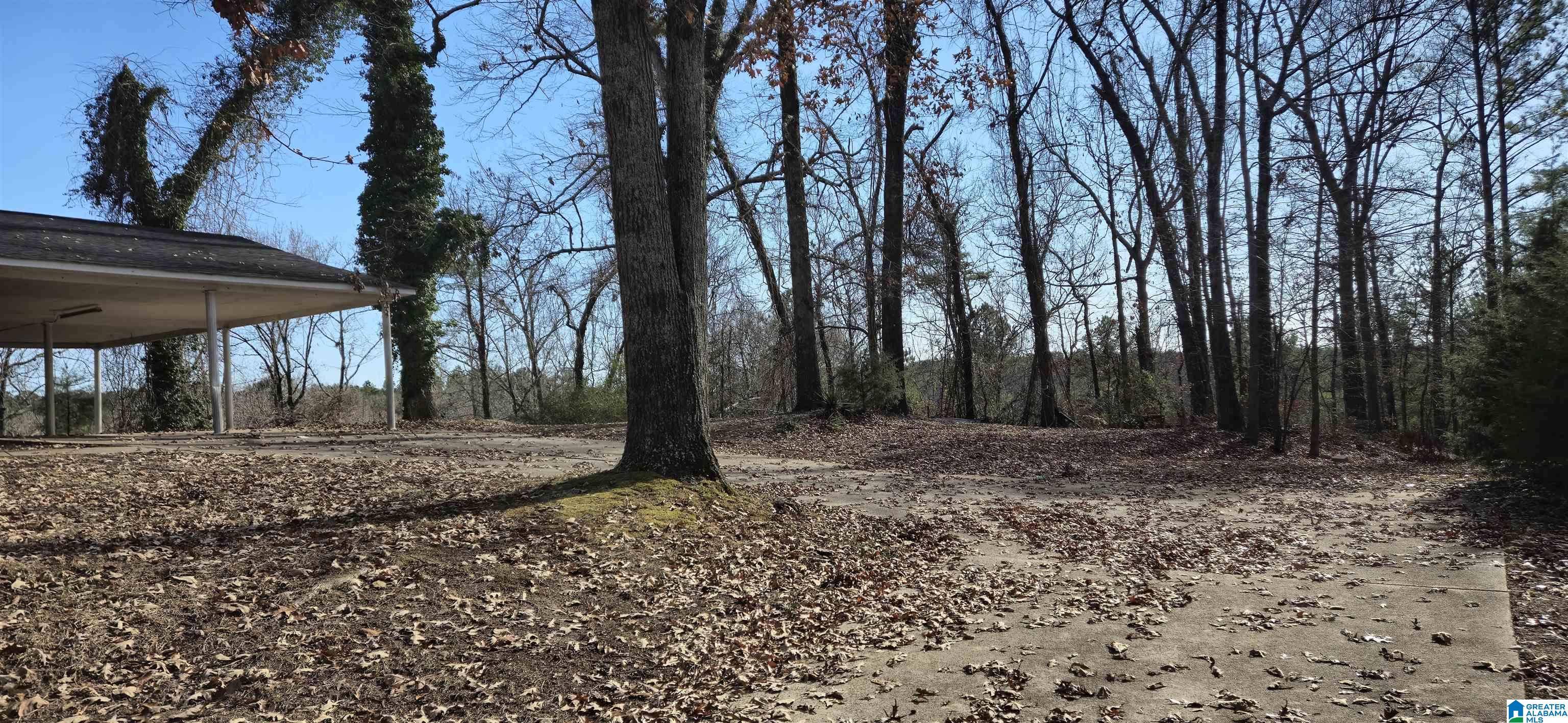 8897 Bradford Trafford Road Pinson, AL 35126 - Photo 21 of 21