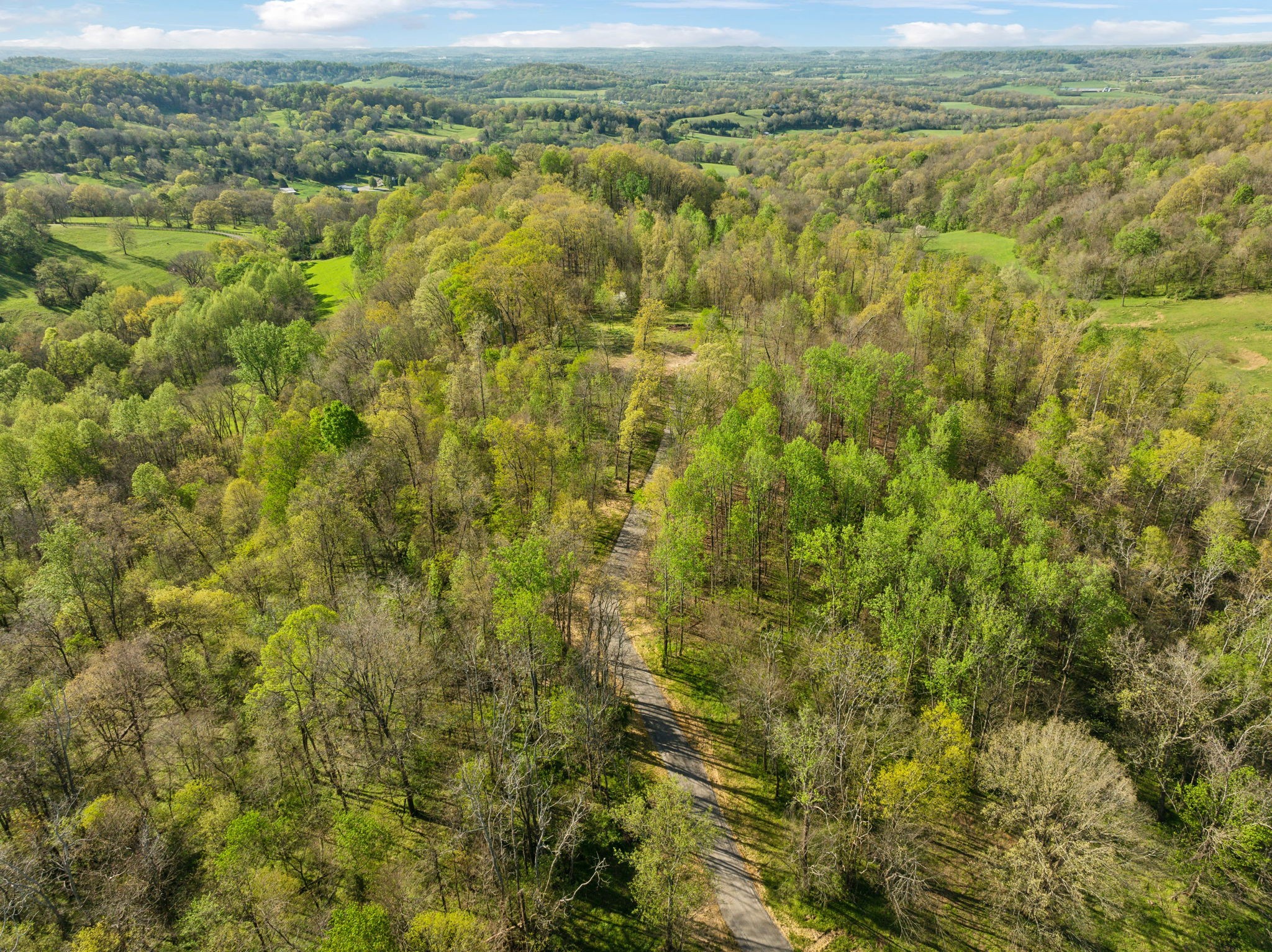 0 Persimmon Ridge Williamsport, TN 38487 - Photo 11 of 22 Gallery Image 11