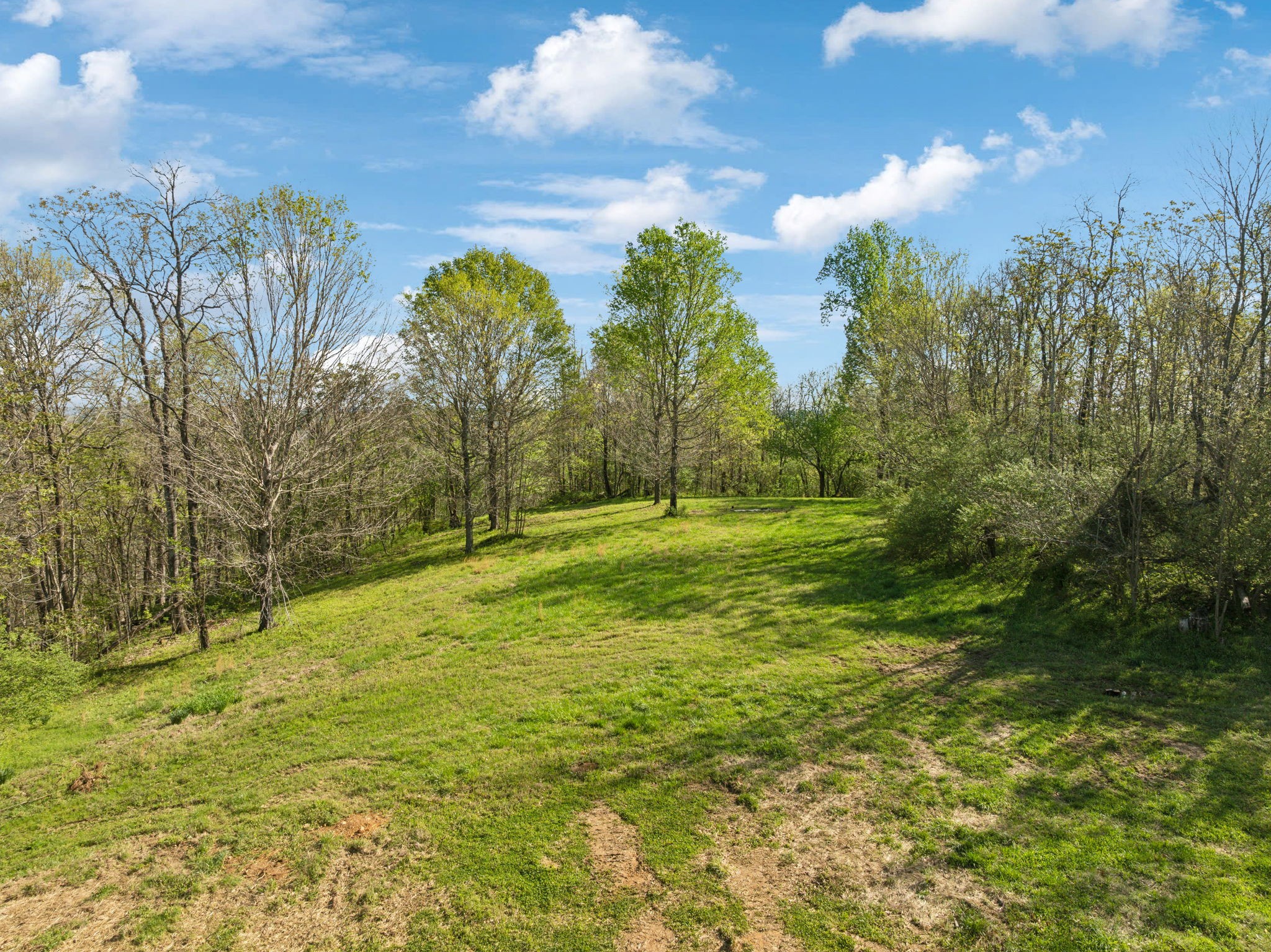 0 Persimmon Ridge Williamsport, TN 38487 - Photo 14 of 22 Gallery Image 14