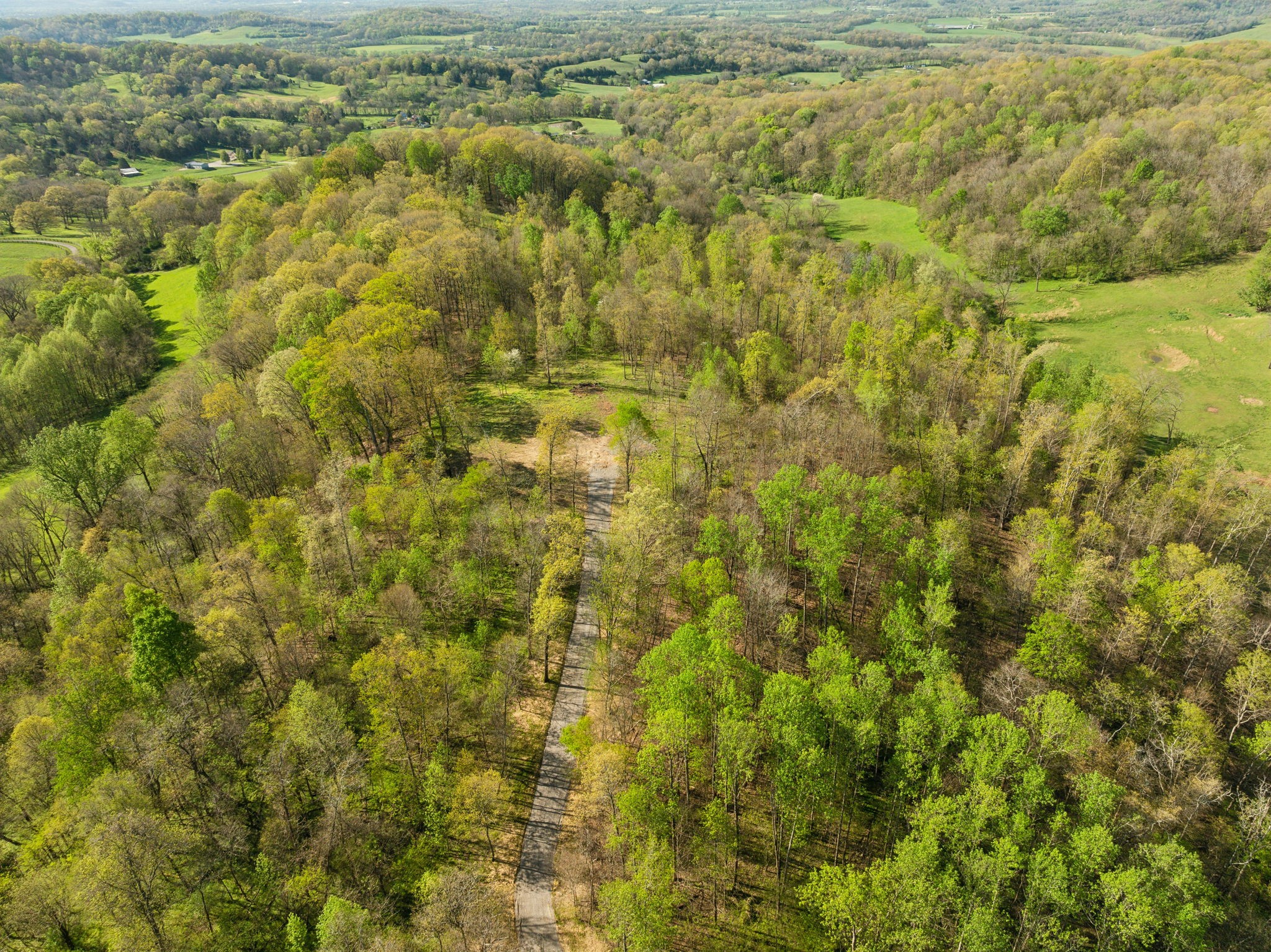 0 Persimmon Ridge Williamsport, TN 38487 - Photo 15 of 22 Gallery Image 15