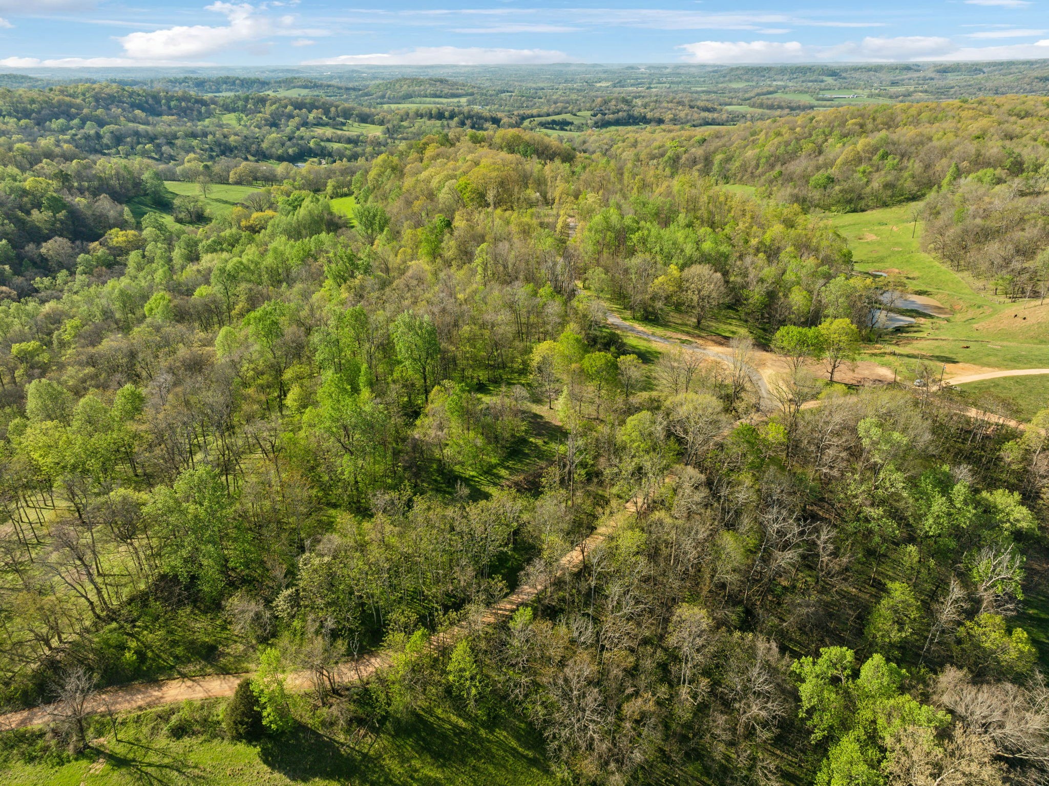 0 Persimmon Ridge Williamsport, TN 38487 - Photo 16 of 22 Gallery Image 16