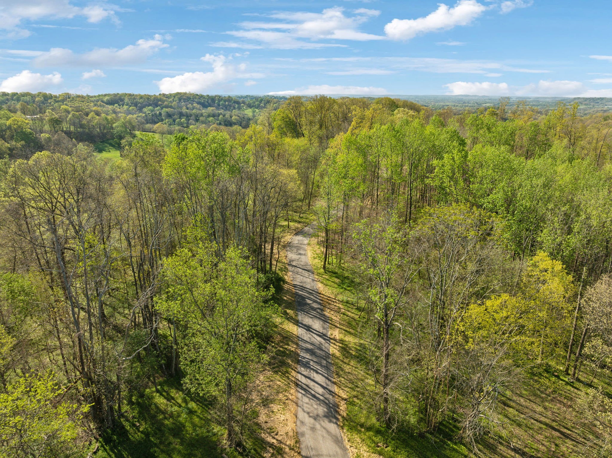 0 Persimmon Ridge Williamsport, TN 38487 - Photo 7 of 22 Gallery Image 7