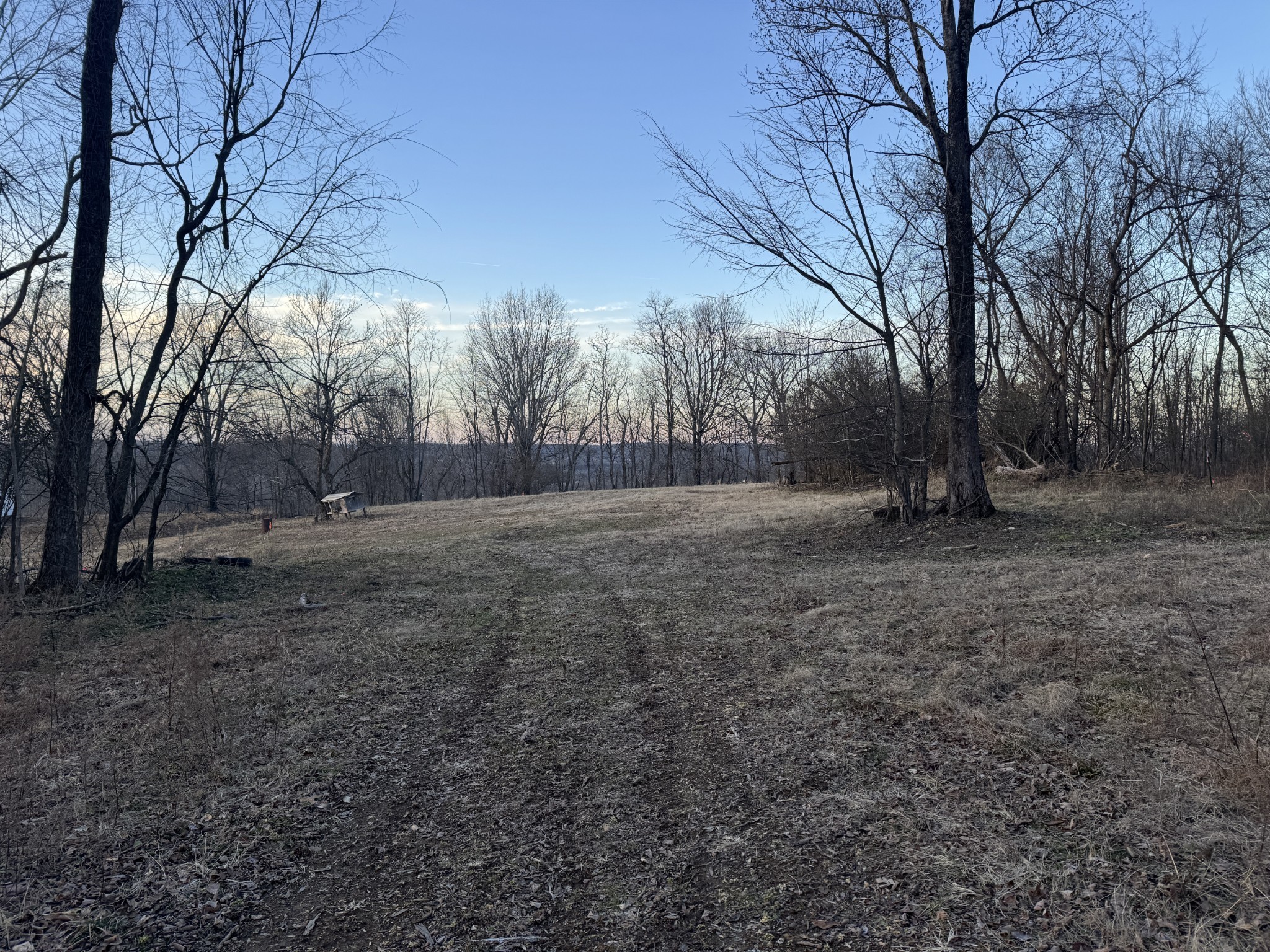0 Persimmon Ridge Williamsport, TN 38487 - Photo 10 of 22 Gallery Image 10