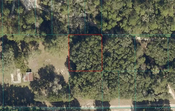$12,500 | 0 Northeast 164th Lane, Citra, FL 32113