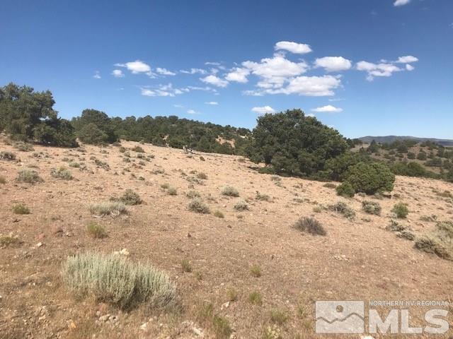 2420 Musket Road, Unit 242 Reno, NV 89521 - Photo 5 of 5 a view of a snow in the middle of a yard