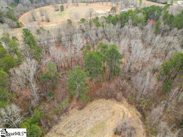 0 South Garrison Road Simpsonville, SC 29680 - Photo 2 of 8