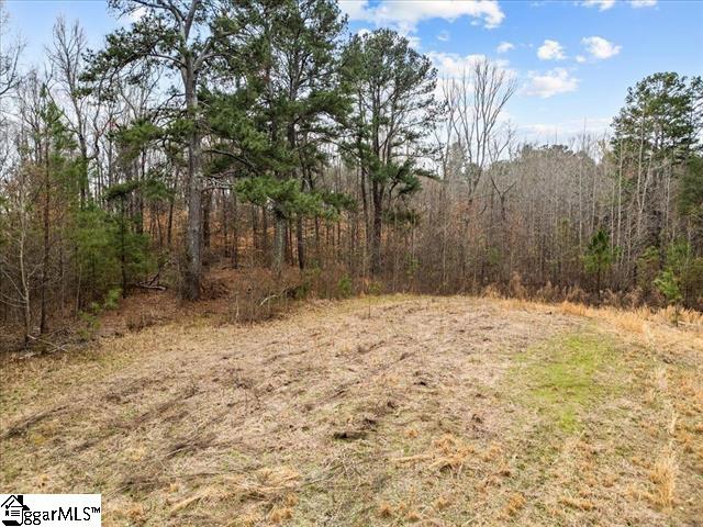 0 South Garrison Road Simpsonville, SC 29680 - Photo 3 of 8