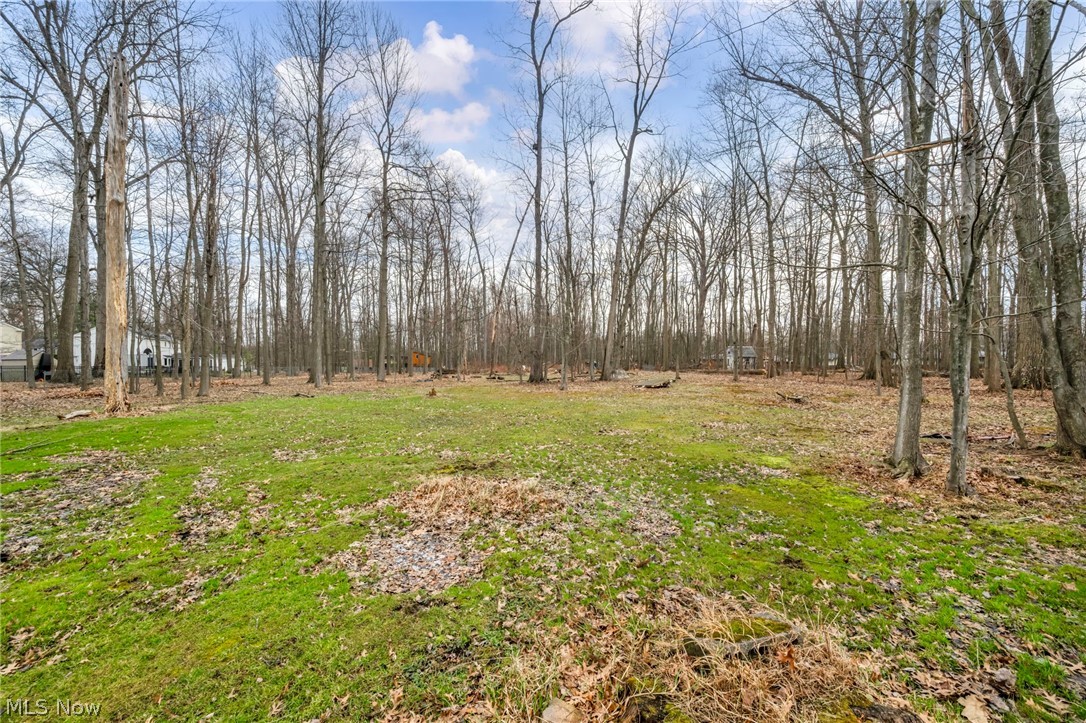 9753 Prospect Road Strongsville, OH 44149 - Photo 32 of 39 View of grassy yard