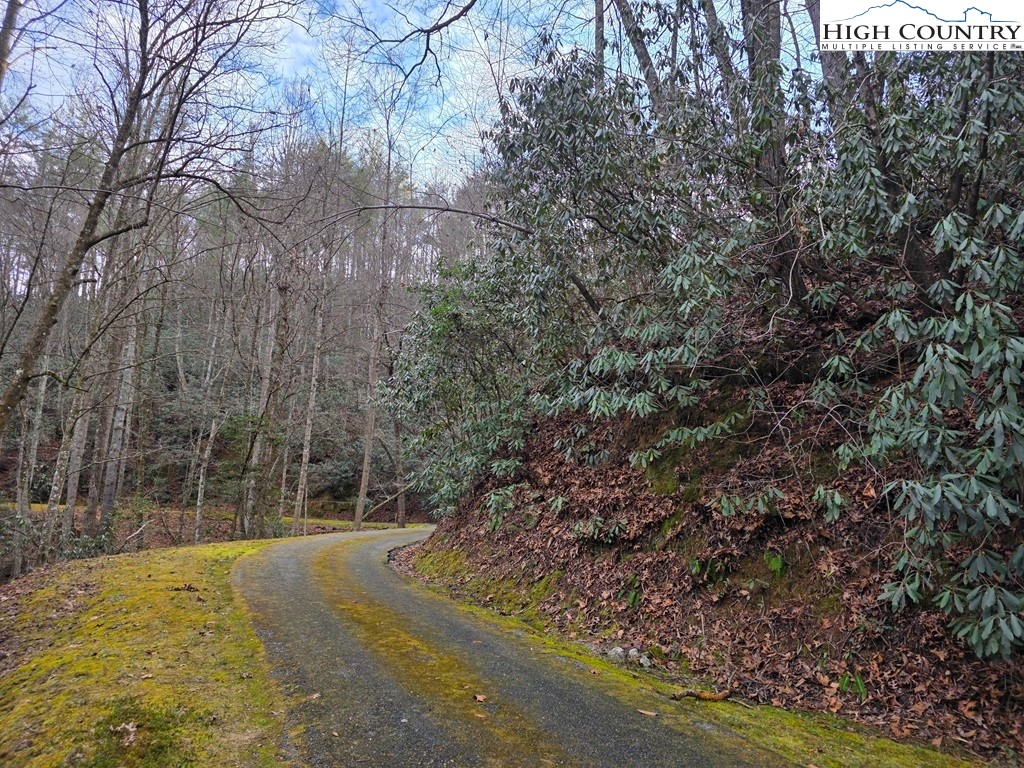 Lot 106 Holleridge Road Ferguson, NC 28624 - Photo 11 of 42 a view of outdoor space with trees