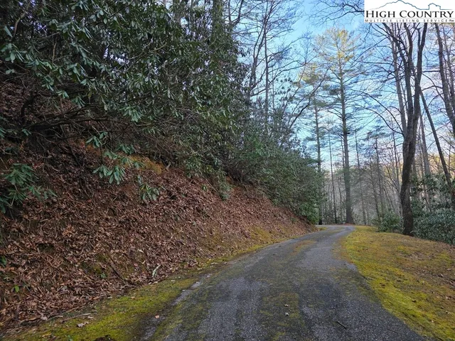 a view of a yard with large trees