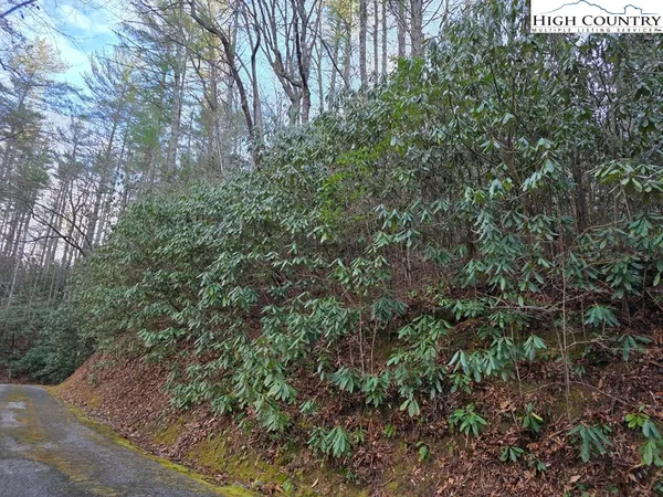 a view of a large yard with lots of bushes