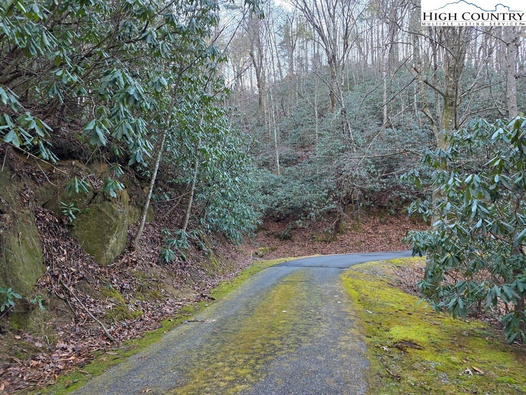 Lot 106 Holleridge Road Ferguson, NC 28624 - Photo 21 of 42 a view of swimming pool with a yard